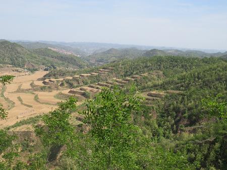 Forest restoration conducted on a large-scale over hundreds of thousands of hectares in the Loess Plateau, China