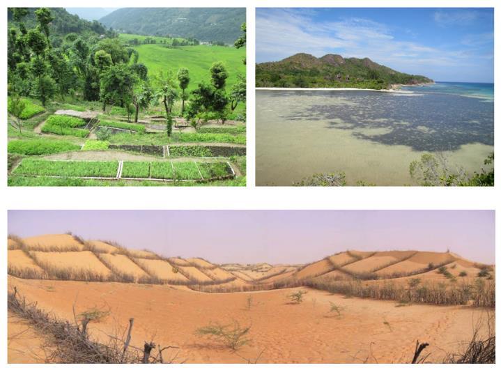 Upper left: a nursery of indigenous trees in Nepal. Upper right: a bay in the Seychelles that required mangroves plantation to stabilise the shoreline. Bottom:dune stabilisation in Mauritania with acacia trees and barriers to prevent sand movement