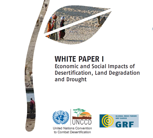 Economic and Social Impacts of Desertification, Land Degradation and Drought